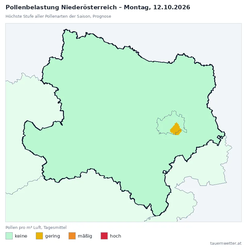 Pollenbelastung Niederösterreich Montag, 12.10.: Prognose, höchste Stufe gering