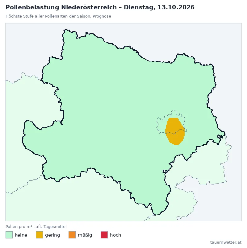 Pollenbelastung Niederösterreich Dienstag, 13.10.: Prognose, höchste Stufe gering