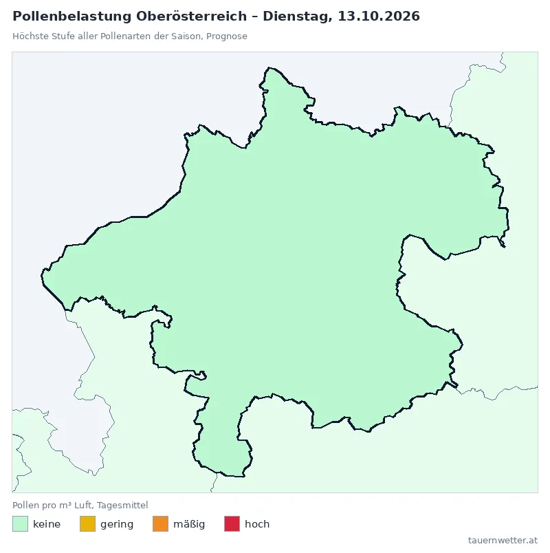 Pollenbelastung Oberösterreich Dienstag, 13.10.: Prognose, höchste Stufe keine