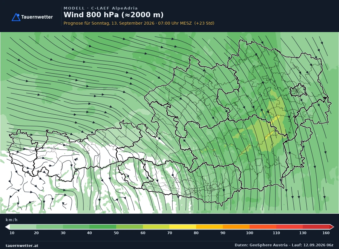 C-LAEF AlpeAdria Modellkarte Wind 800 hPa, rund 2.000 m Österreich, Vorhersage +24 Stunden