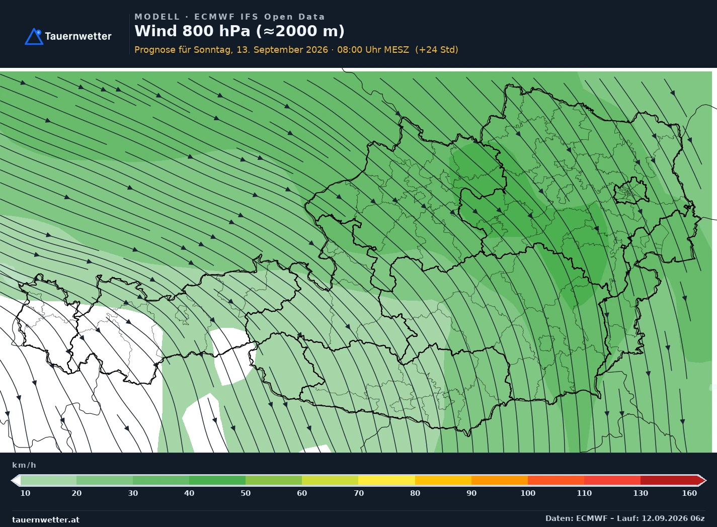 ECMWF IFS Modellkarte Wind 800 hPa, rund 2.000 m Österreich, Vorhersage +24 Stunden