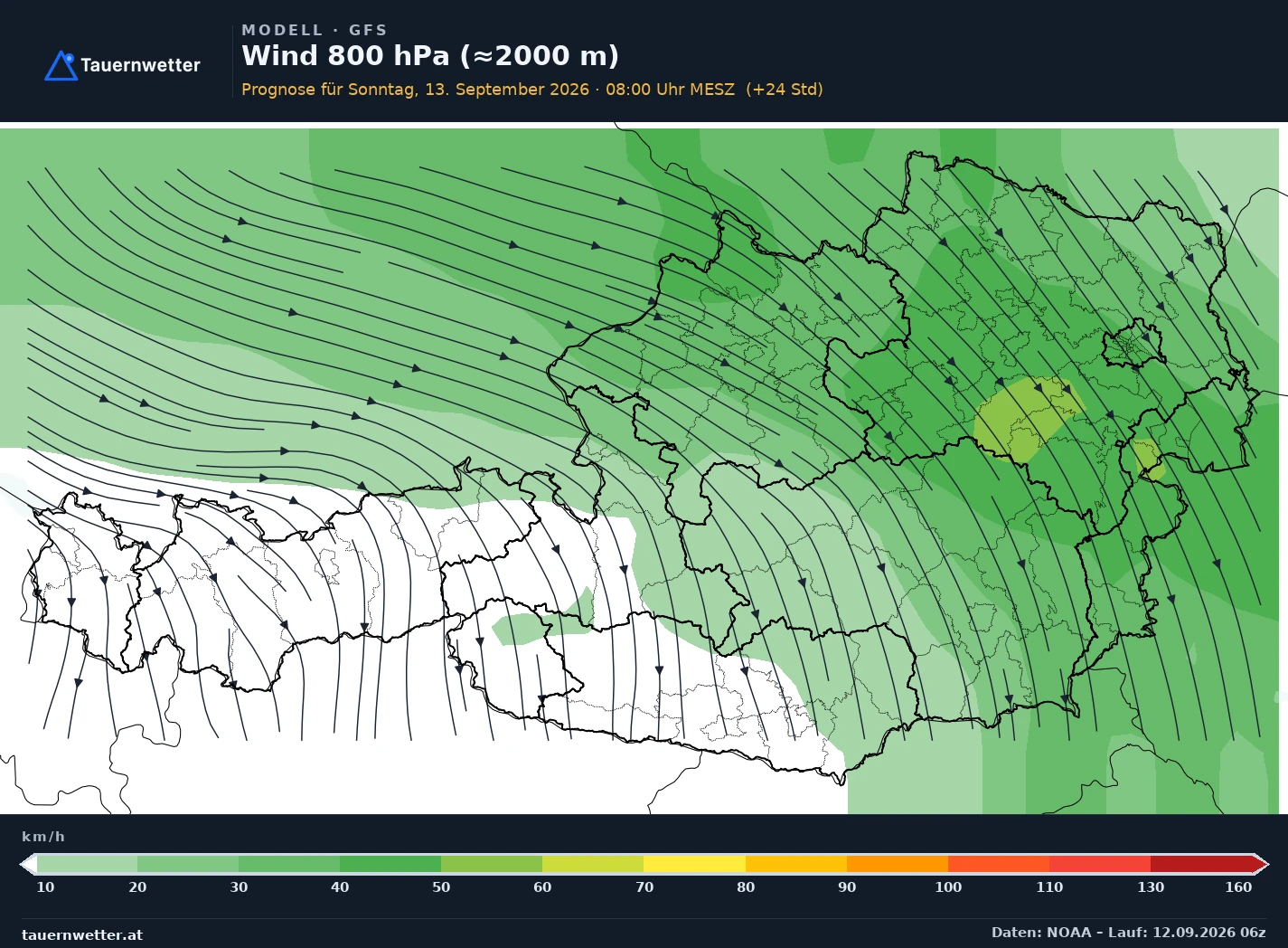 GFS Modellkarte Wind 800 hPa, rund 2.000 m Österreich, Vorhersage +24 Stunden