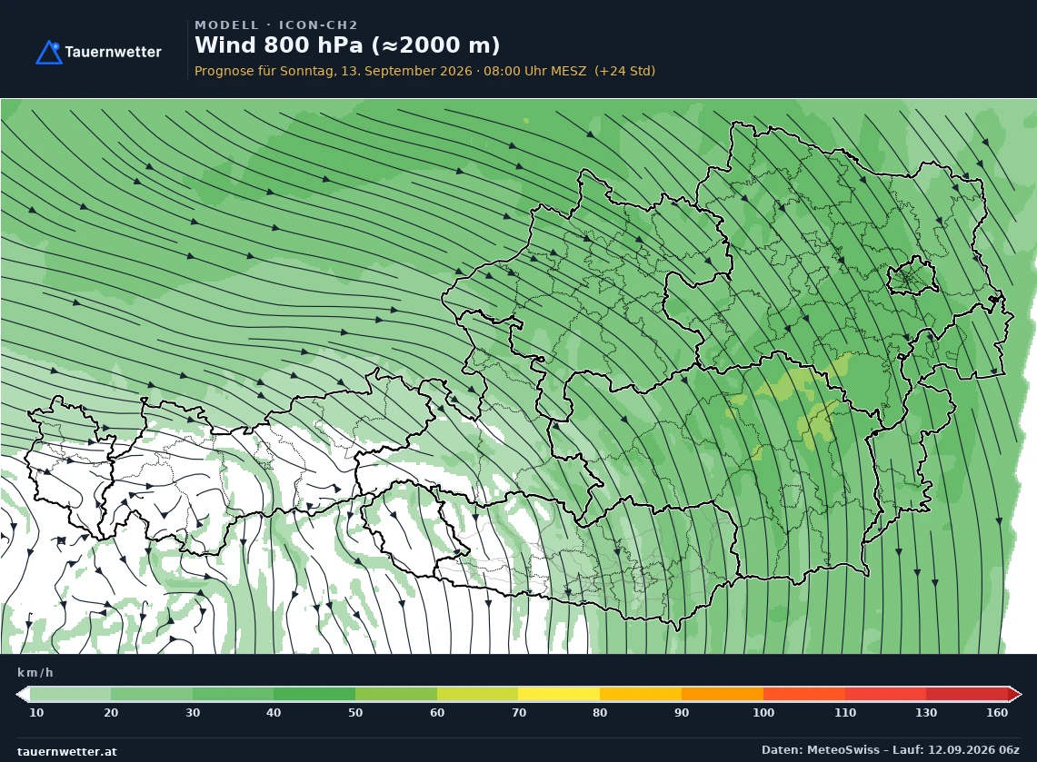 ICON-CH2 Modellkarte Wind 800 hPa, rund 2.000 m Österreich, Vorhersage +24 Stunden