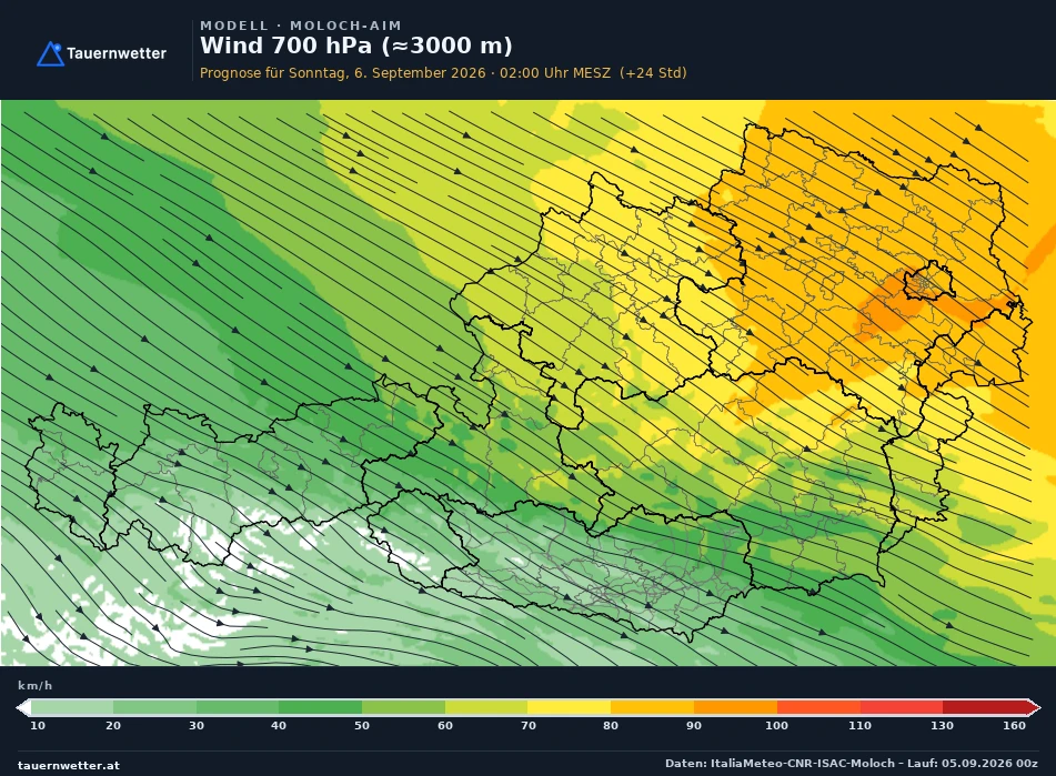 MOLOCH-AIM Modellkarte Wind 700 hPa, rund 3.000 m Österreich, Vorhersage +24 Stunden