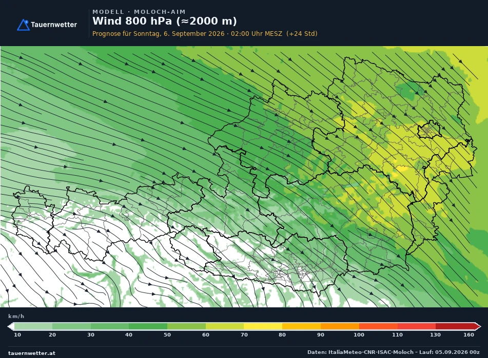 MOLOCH-AIM Modellkarte Wind 800 hPa, rund 2.000 m Österreich, Vorhersage +24 Stunden
