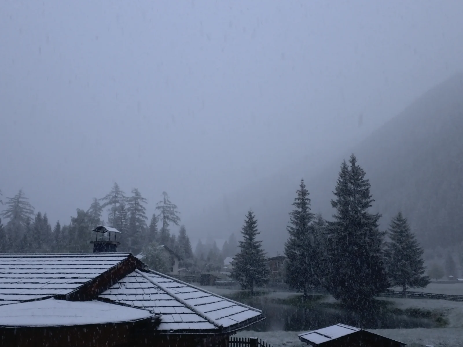 Schneefall in Mallnitz am frühen Morgen des 15. Mai 2026: dünne Schneedecke auf einem Dach im Vordergrund, im Hintergrund verschneite Fichten und neblige Berghänge.