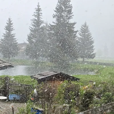 Eisheilige 2026: Schnee bis unter 1.000 Meter, verbreitet frostig – und jetzt kommt der Regen