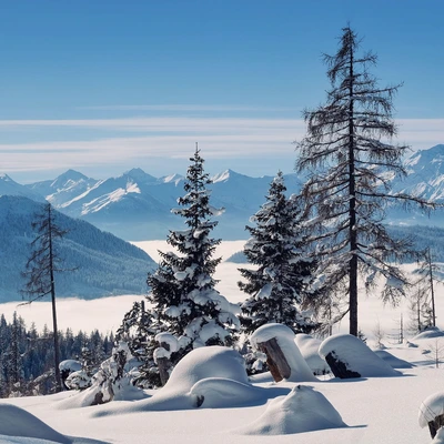 Trübes Wochenende – Großes Italientief in Sicht