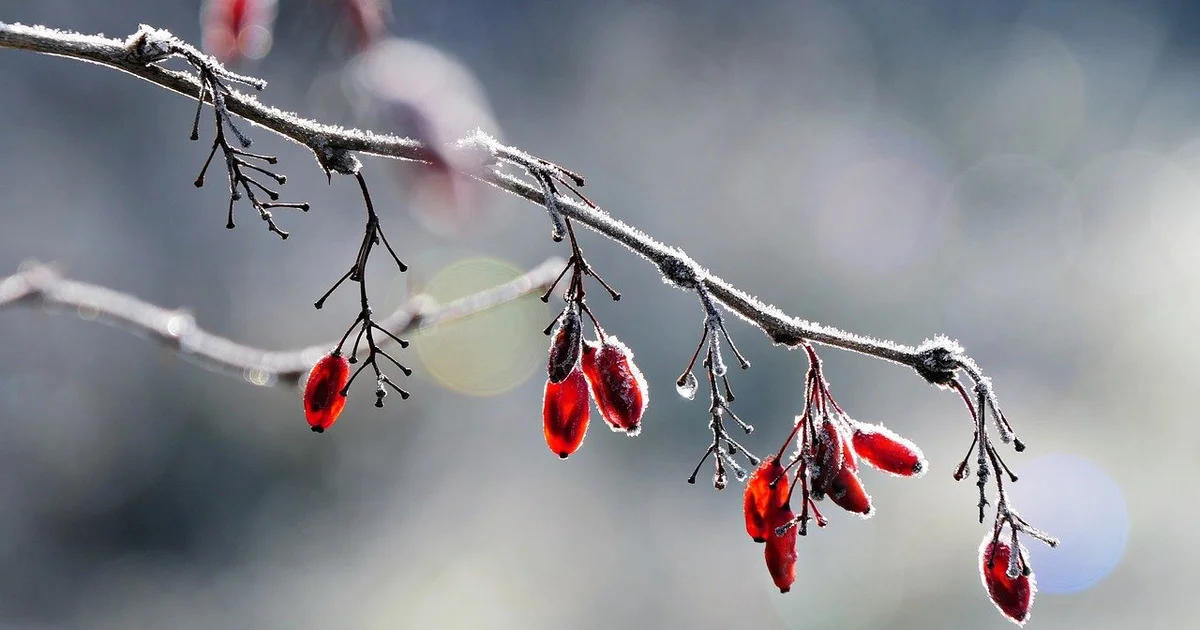 Eisige Kälte in Kärnten – Kältehöhepunkt in der Nacht auf Donnerstag