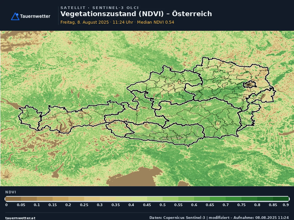 Vegetationsindex NDVI für Österreich am 8. August 2025, überwiegend grüne Flächen.