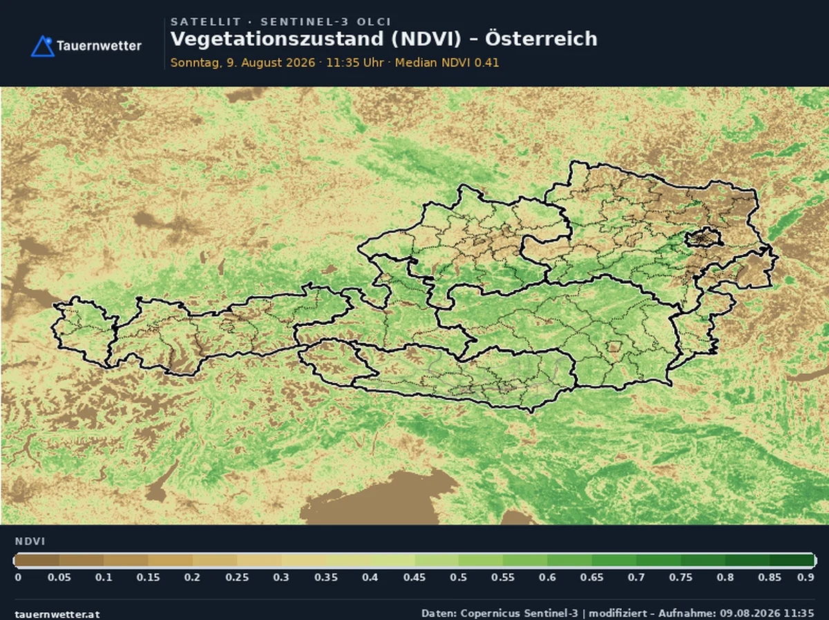 Vegetationsindex NDVI für Österreich am 9. August 2026, im Osten großflächig braun.