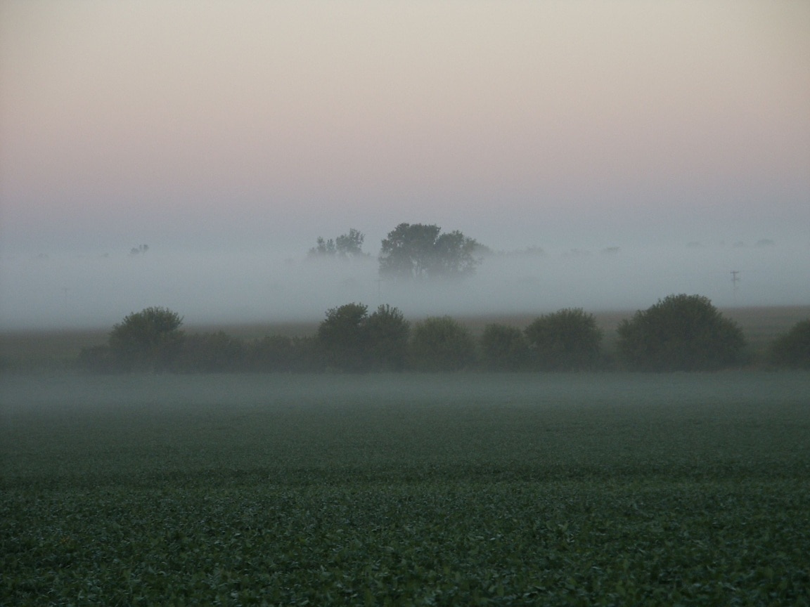 Morgennebel über Feldern - typische Wetterlage für die erste Dezemberwoche in Kärnten