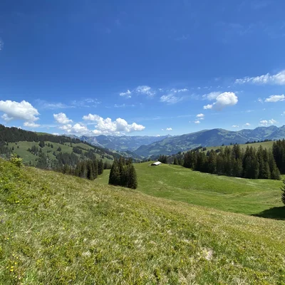 Pfingsten bringt den Sommer-Turbo: Großer Temperatur-Sprung in Kärnten und Osttirol