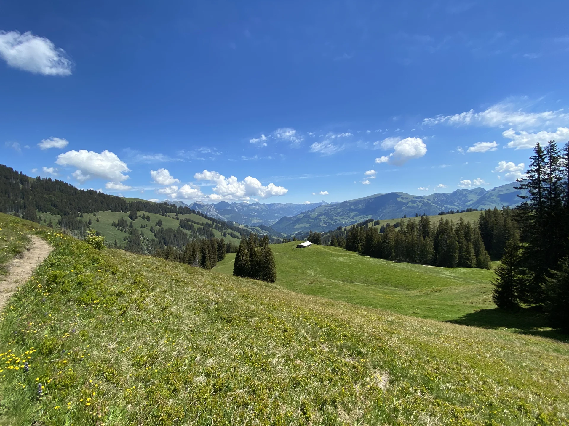 Sonnige Alpenwiese mit blauem Himmel und Quellwolken – Pfingsten 2026 bringt sommerliches Wetter nach Kärnten und Osttirol.