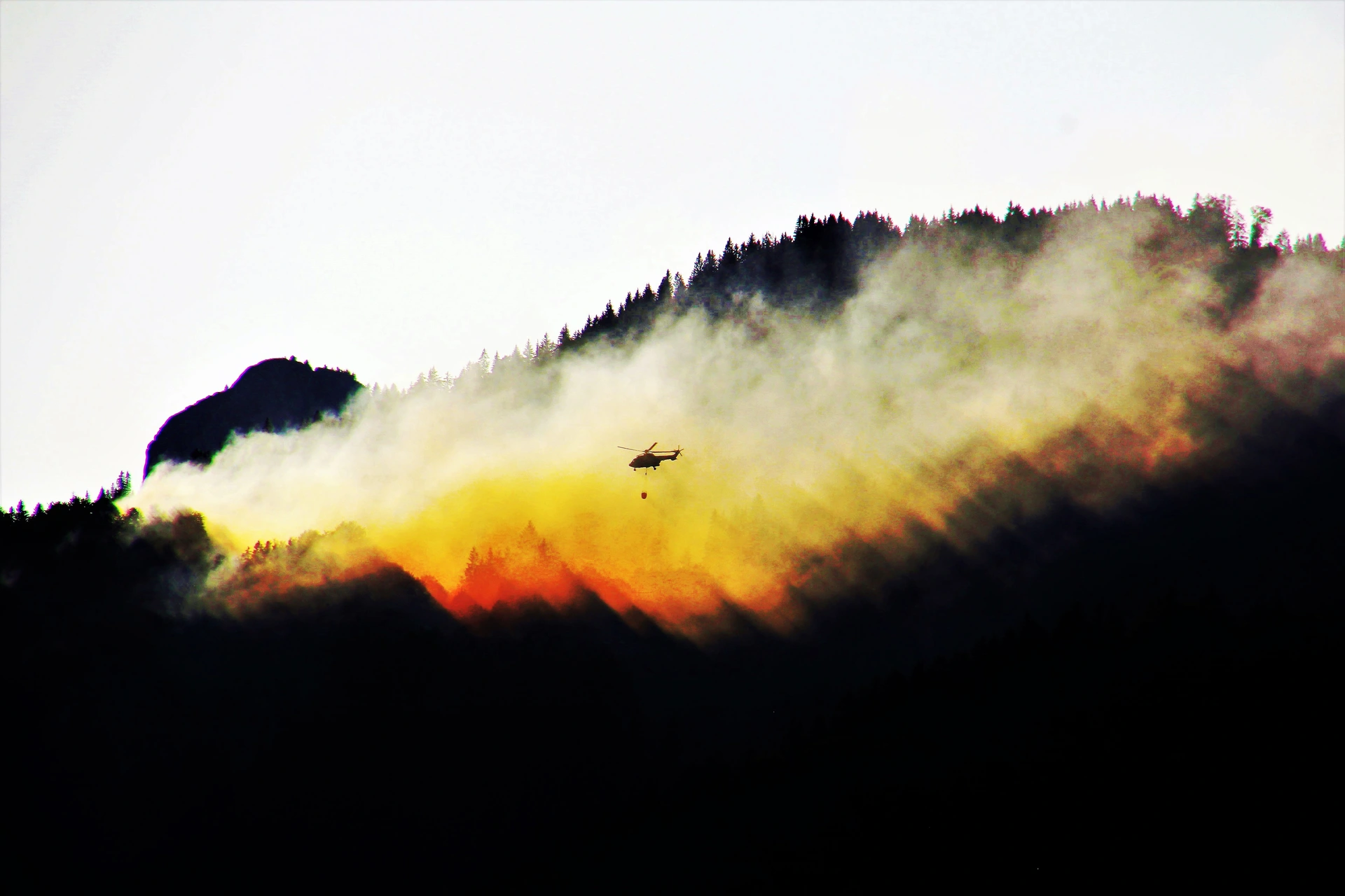 Waldbrand in einem Nadelwald, Symbolbild zur Waldbrandgefahr