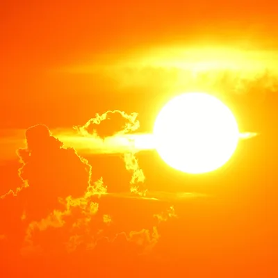 Sommer der Rekorde: 40,1 Grad in Bad Deutsch-Altenburg – die nächste Hitzewelle ist schon in Sicht