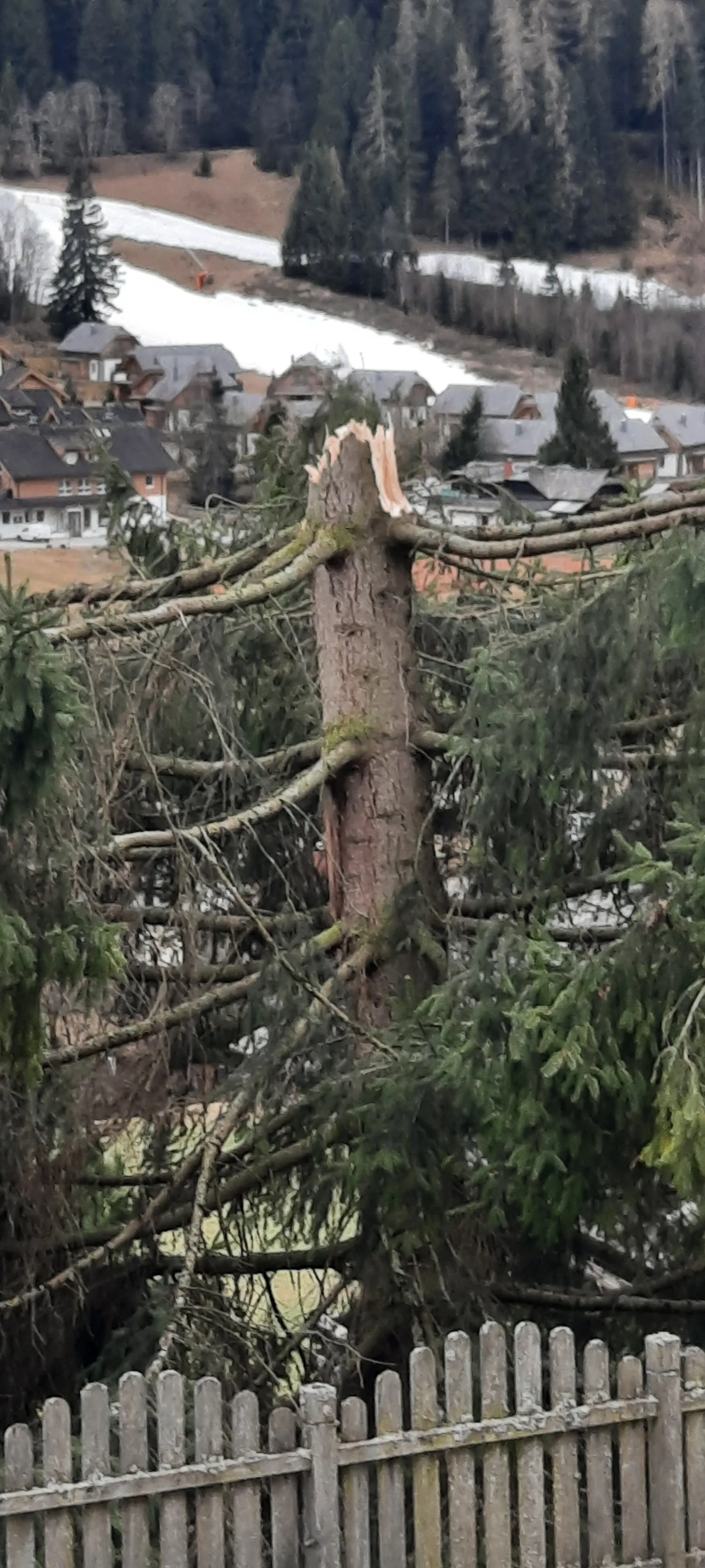 Sturm in Bad Kleinkirchheim am 27. März 2026: Sturmböen fegen über die Nockberge