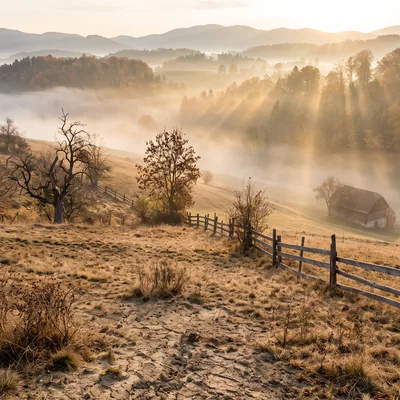 Kaum Regen bis Ende Oktober: Die Trockenheit in Österreich hält an, der Winter könnte sehr mild und nass werden