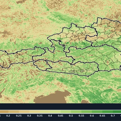 Extreme Trockenheit in Österreich: So hat sich die Vegetation seit 2025 verändert