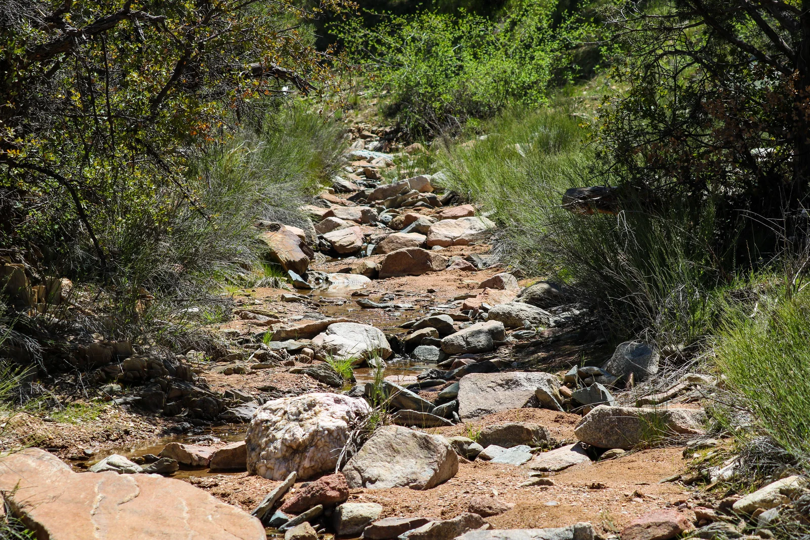 Fast trockengefallenes, steiniges Bachbett in sommerlicher Berglandschaft als Symbol für die Trockenheit.