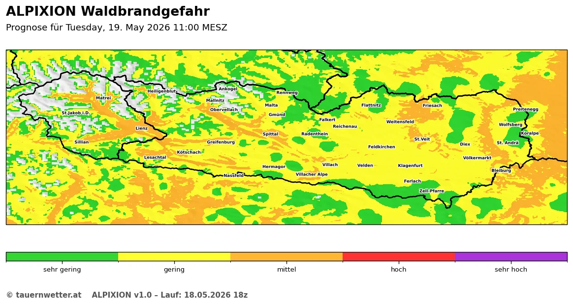 ALPIXION-Karte der Waldbrandgefahr in Kärnten und Osttirol am Dienstag, 19. Mai 2026: verbreitet niedrige Waldbrandgefahr.